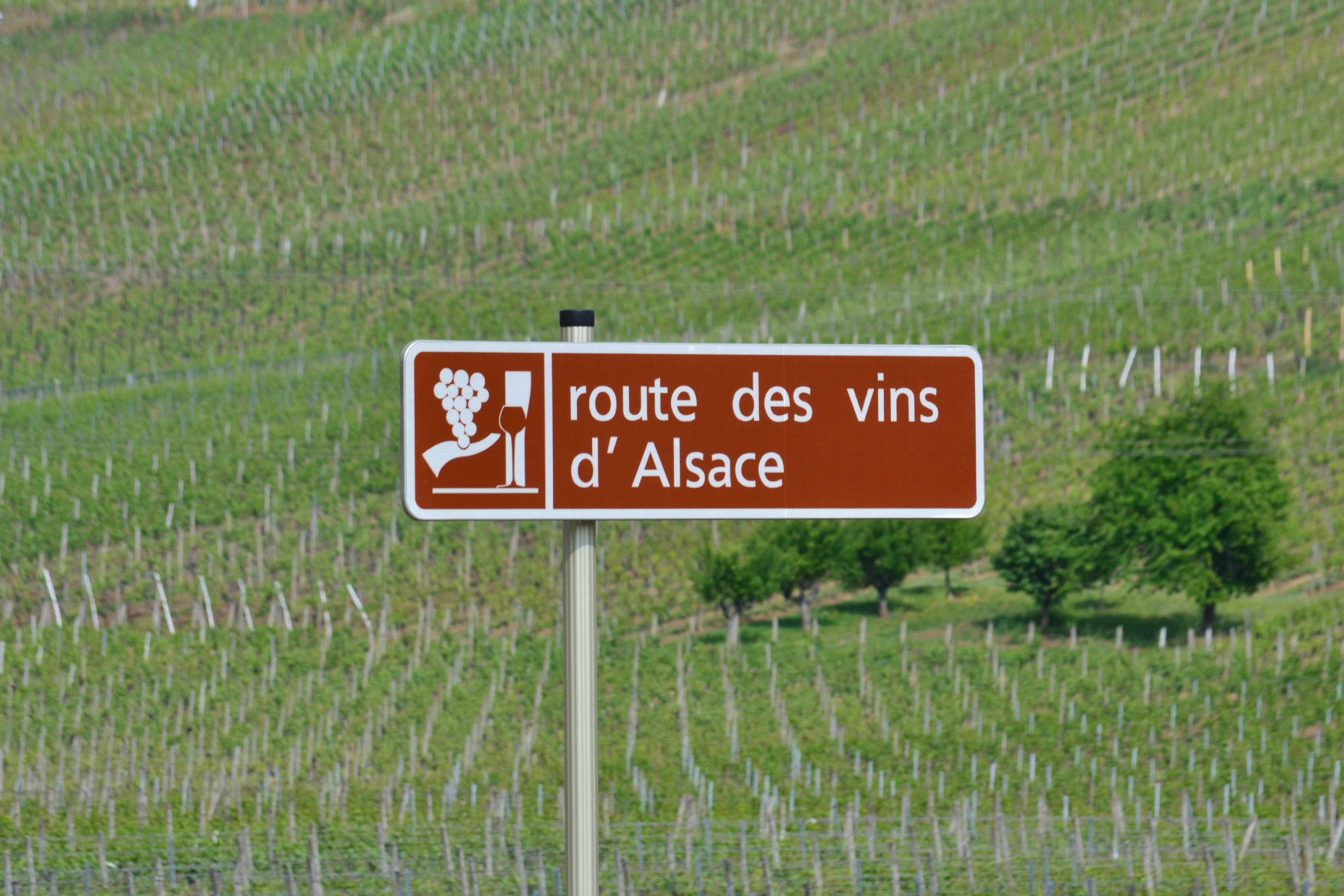Route_des_Vins_d'Alsace